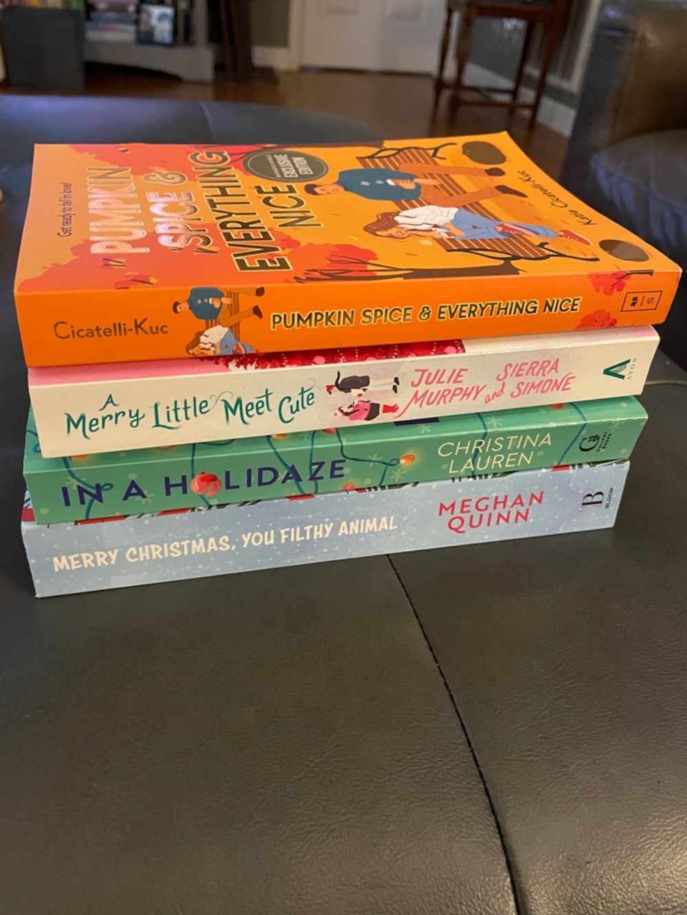 Holiday Book Stack - Meghan Quinn, Julie Murphy